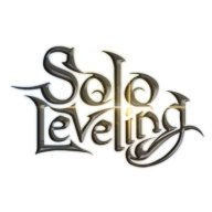 sololevelingmerch