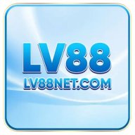 lvnetcom