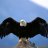 khalid_2